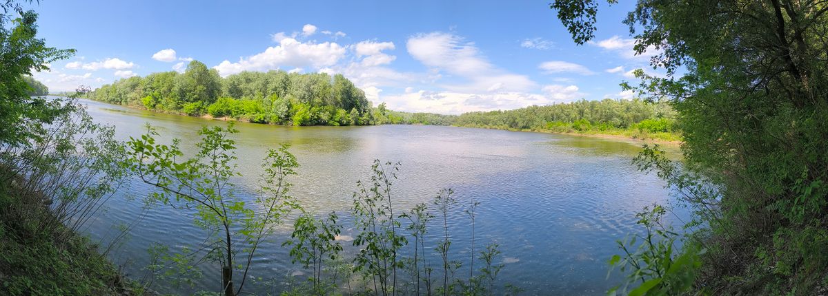 Tiszatelek, Tisza-part, vízbe fulladt, holttest., Tiszabercel, Tisza