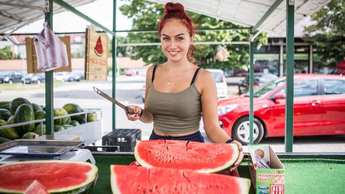 Rárepült a kormányhivatal a szabolcsi dinnyésekre, itt a razzia sokatmondó eredménye
