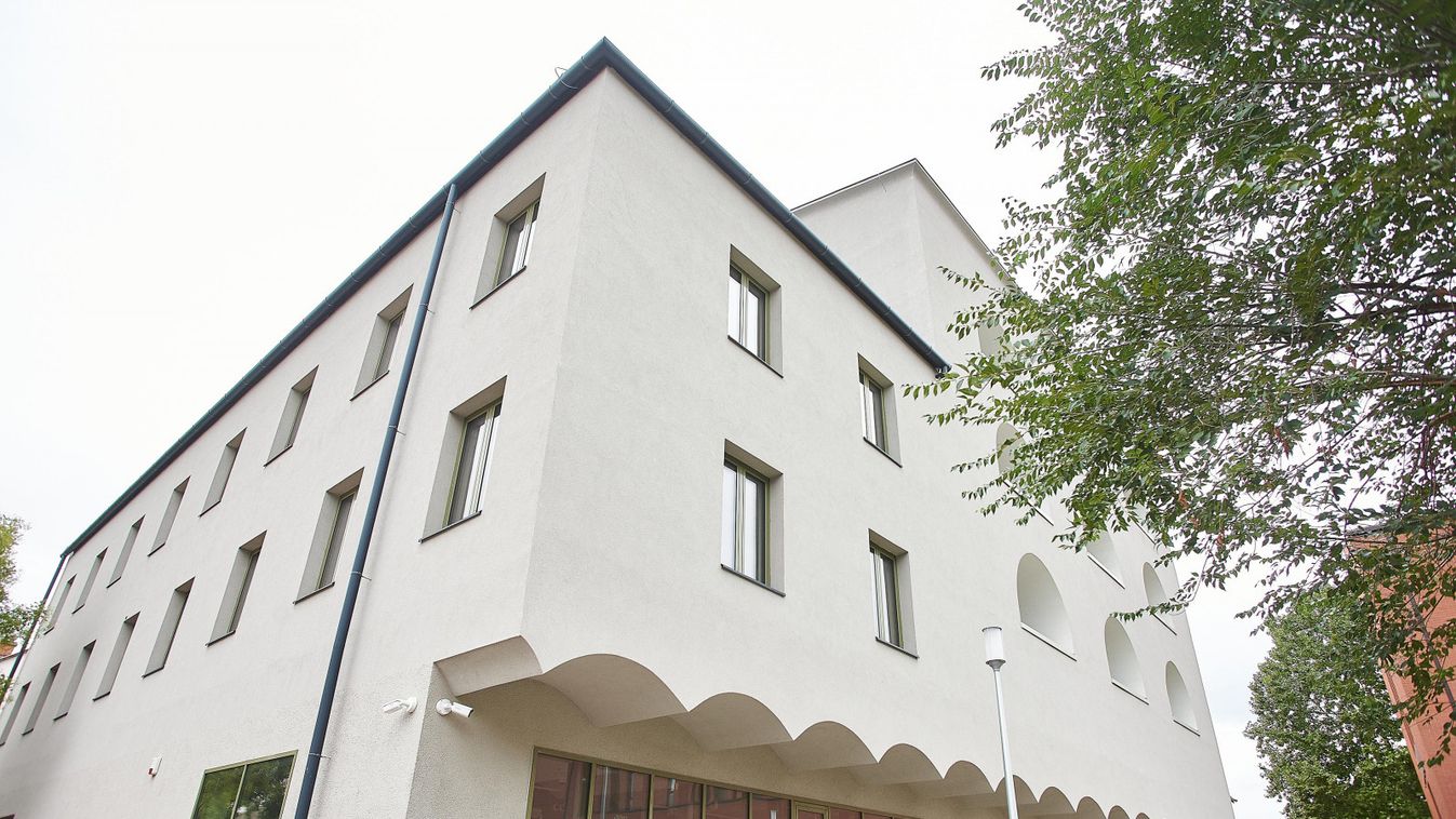 Elfeledett festő tér vissza a figyelem középpontjába – különleges kiállítás...