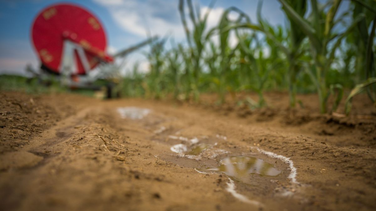 Multi-billion investment may help with water shortages in Szabolcs